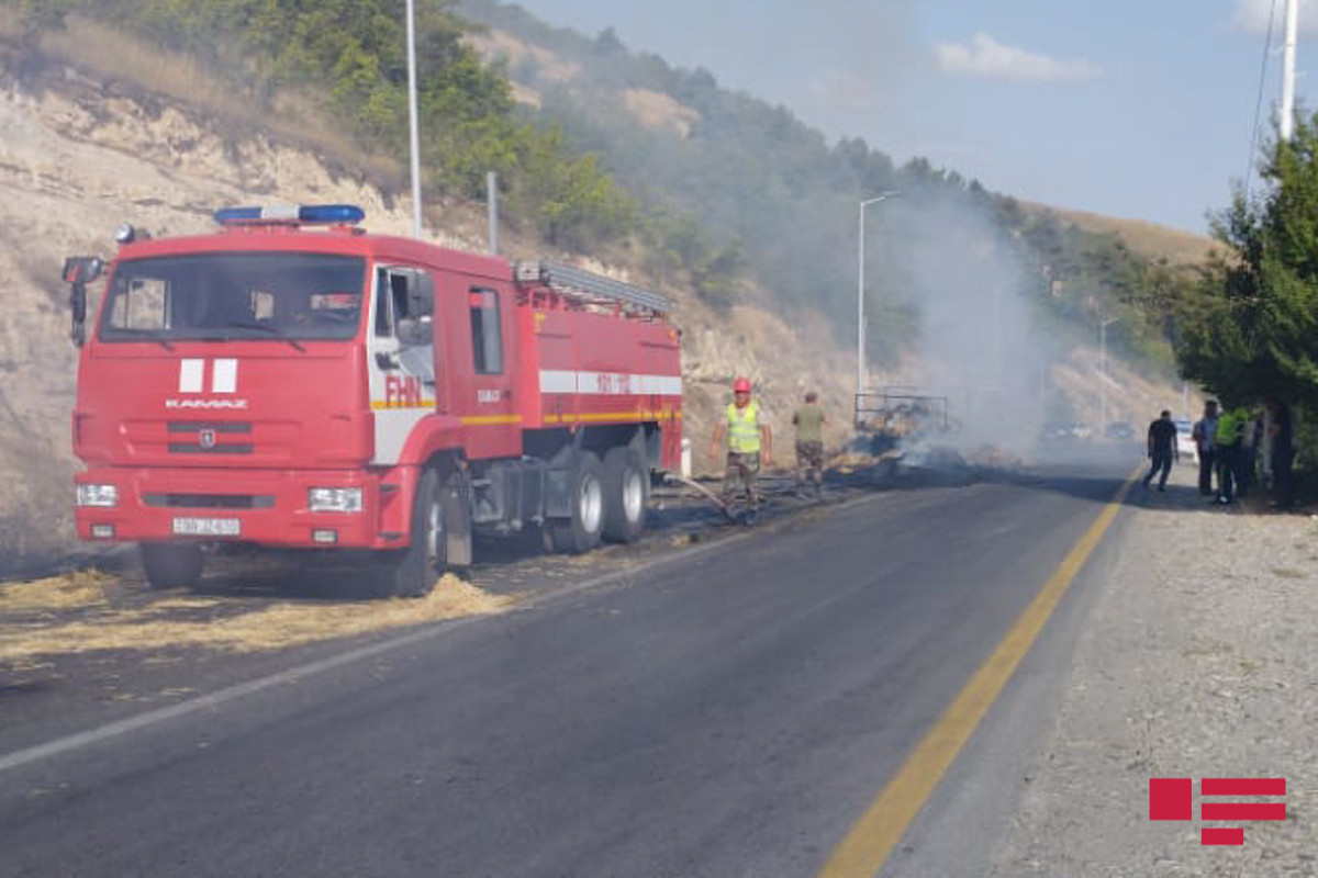 В Шамахы загоревшийся трактор стал причиной лесного пожара-ФОТО 