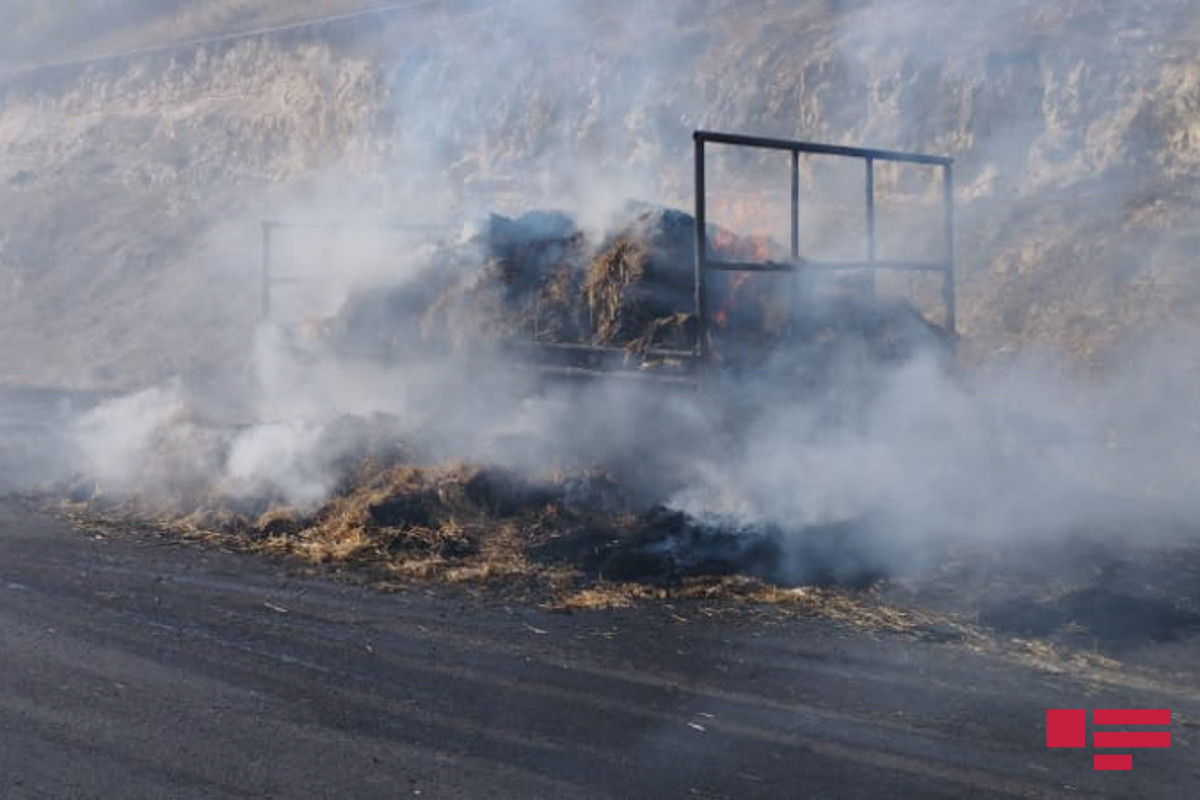 В Шамахы загоревшийся трактор стал причиной лесного пожара-ФОТО 