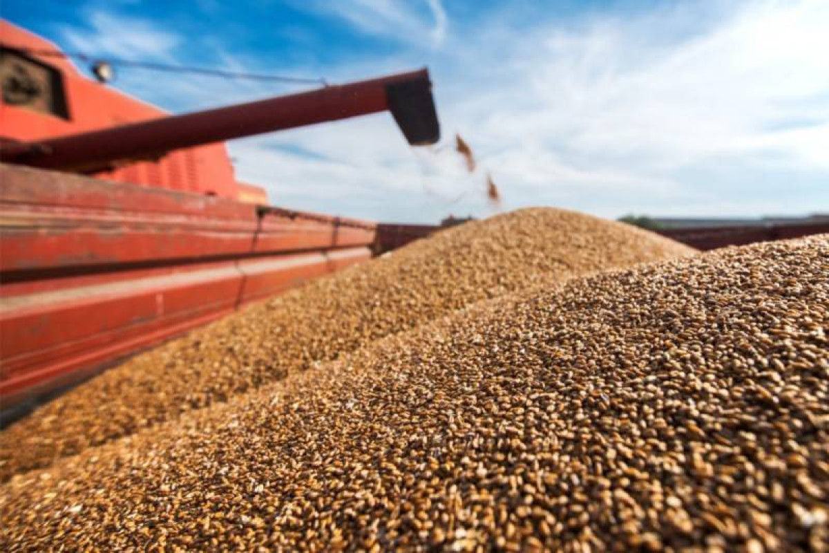 Украина назвала условия подписания соглашения об экспорте зерна