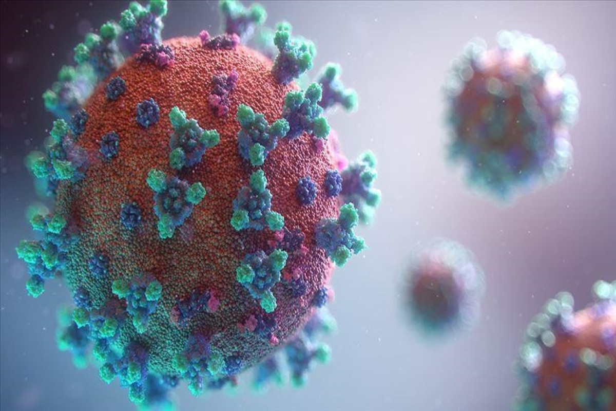 Число заразившихся коронавирусом в мире достигло почти 570 млн