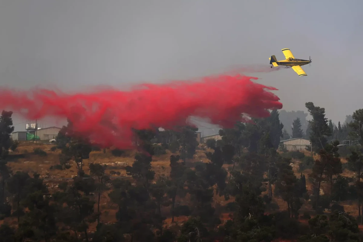 На Кипре бушуют лесные пожары
