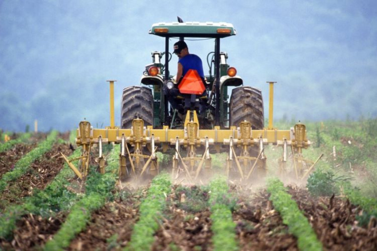 Азербайджанские фермеры будут получать дополнительные субсидии
