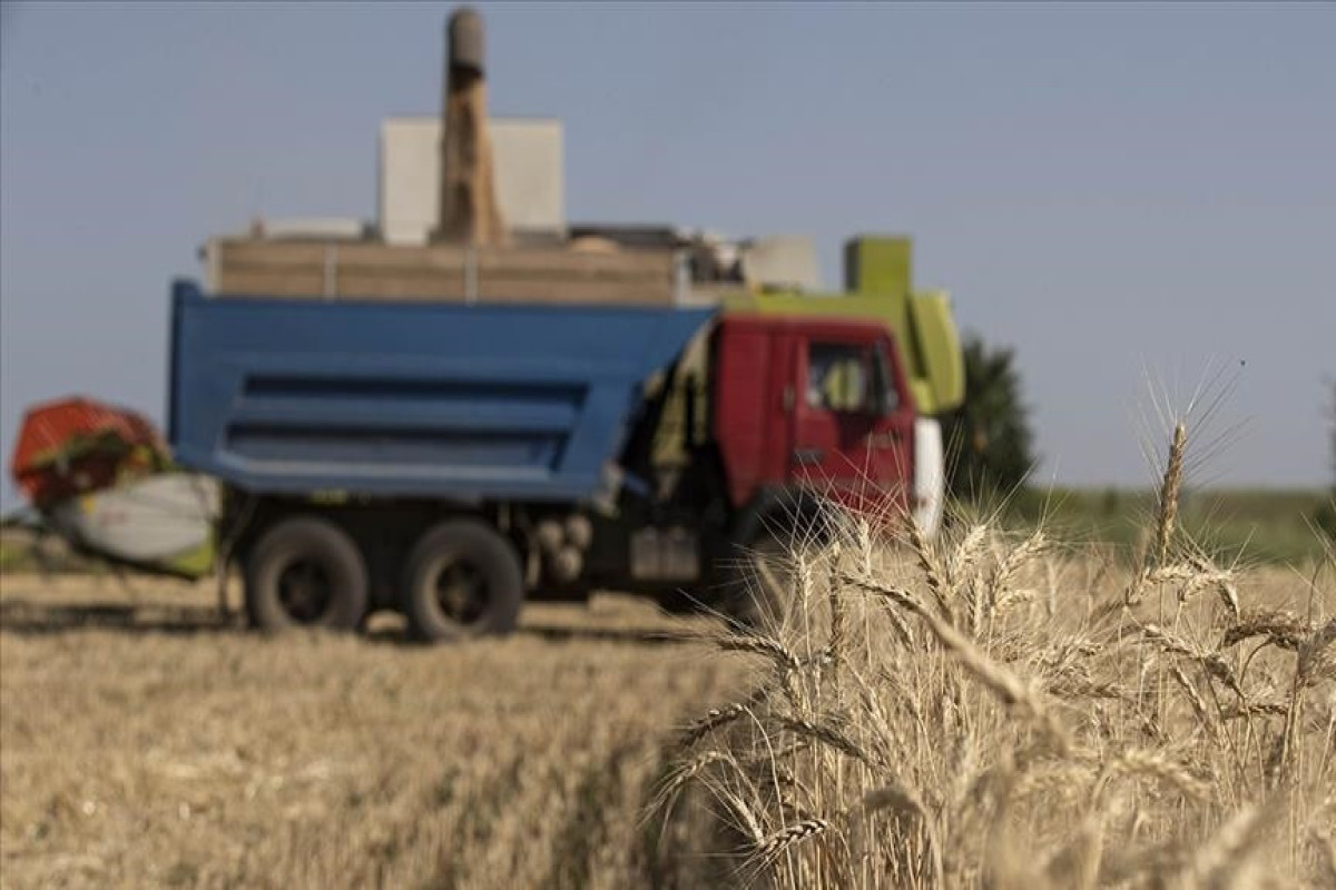 Украинское зерно возвращается на мировой рынок: в Стамбуле открылся Совместный координационный центр