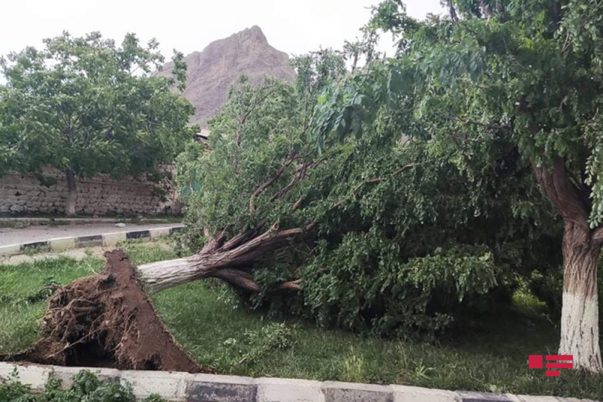 Мощный ураган обрушился на Ордубад: району нанесен серьезный ущерб -ФОТО -ВИДЕО 