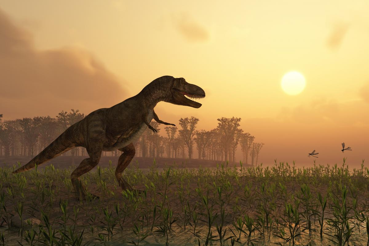 Ученые нашли останки нового вида динозавров с мордой, как у бульдога