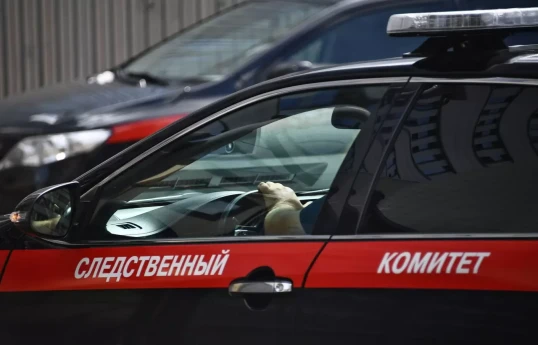 В Подмосковье осудили этническую банду похитителей людей