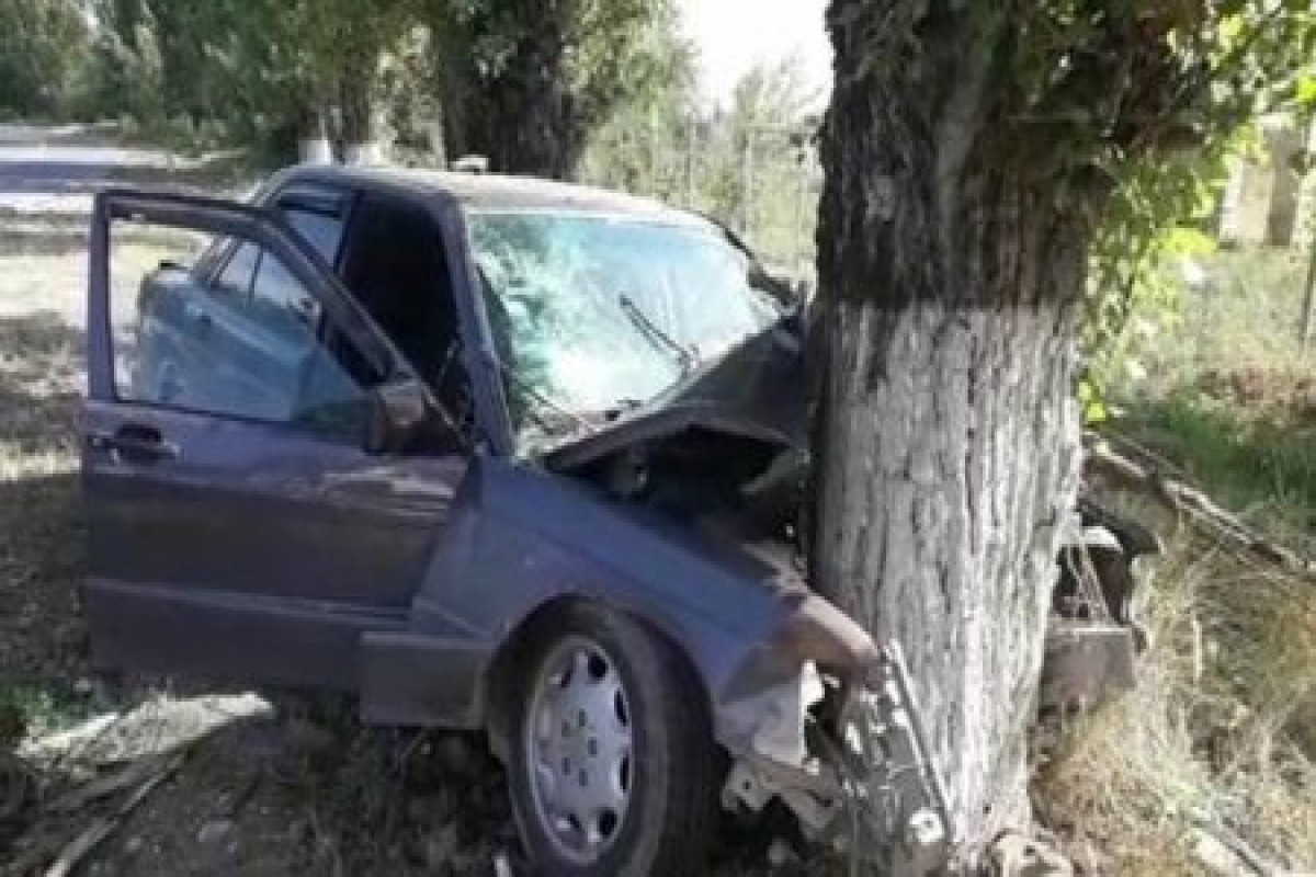 В Шеки автомобиль врезался в дерево, имеются жертвы