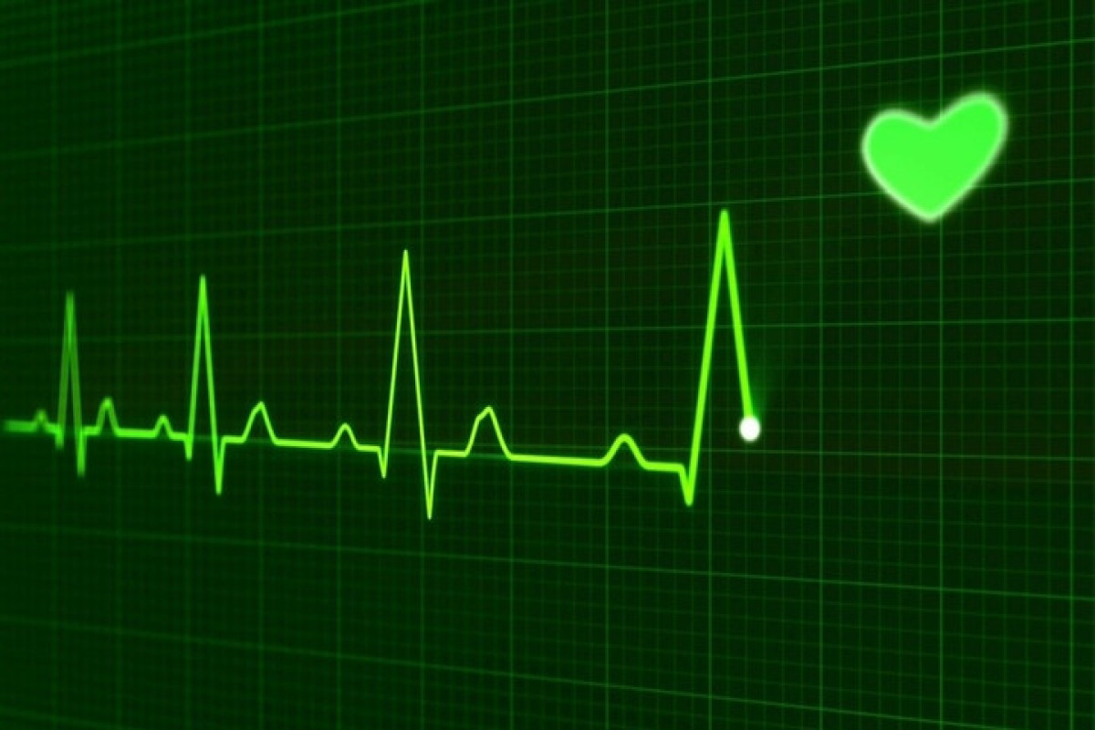 Искусственный интеллект научился диагностировать болезни сердца