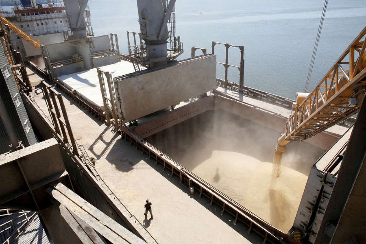 Франция и Турция предложили «соперничающие» планы по вывозу зерна из Украины