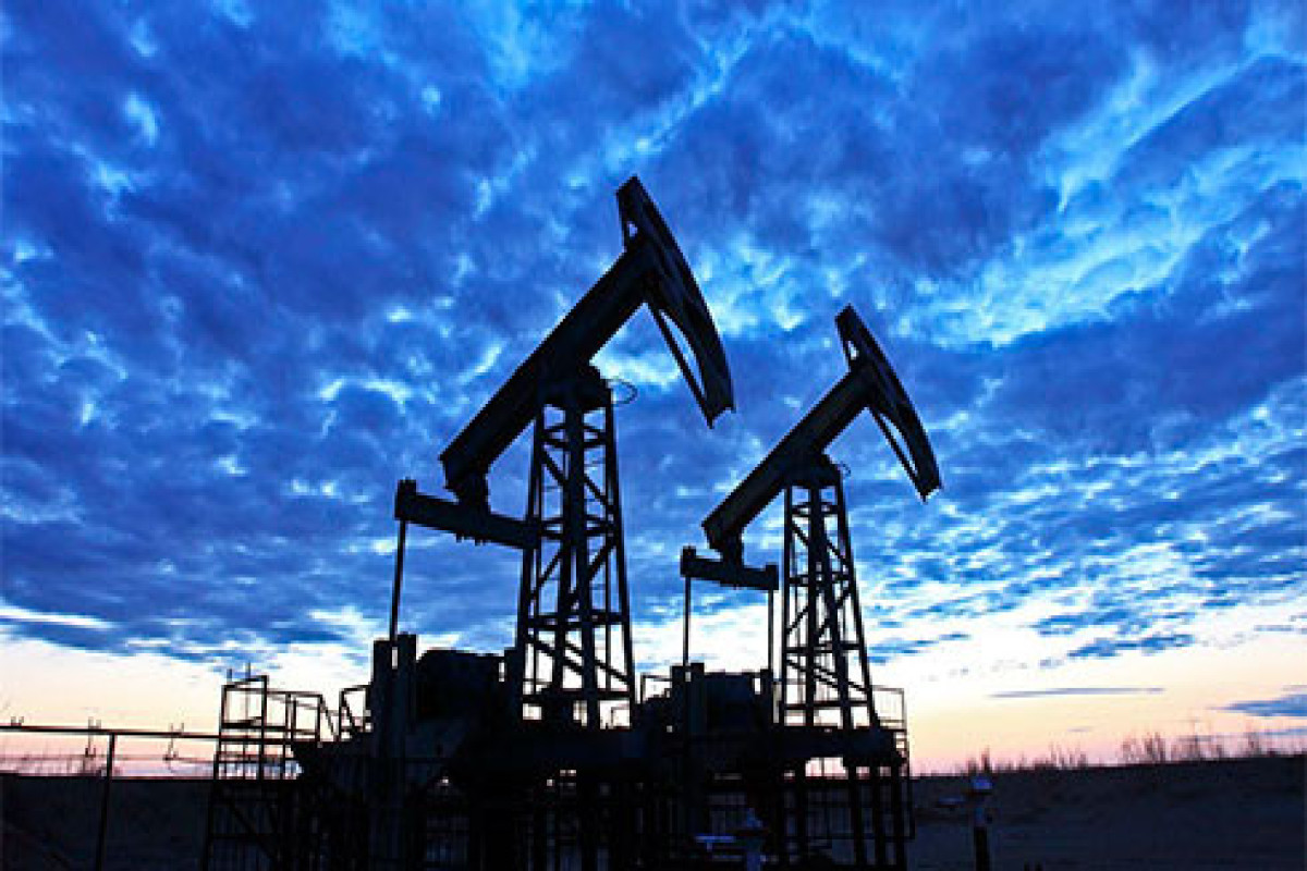 Власти Индии призвали госкомпании закупать сырую нефти из России