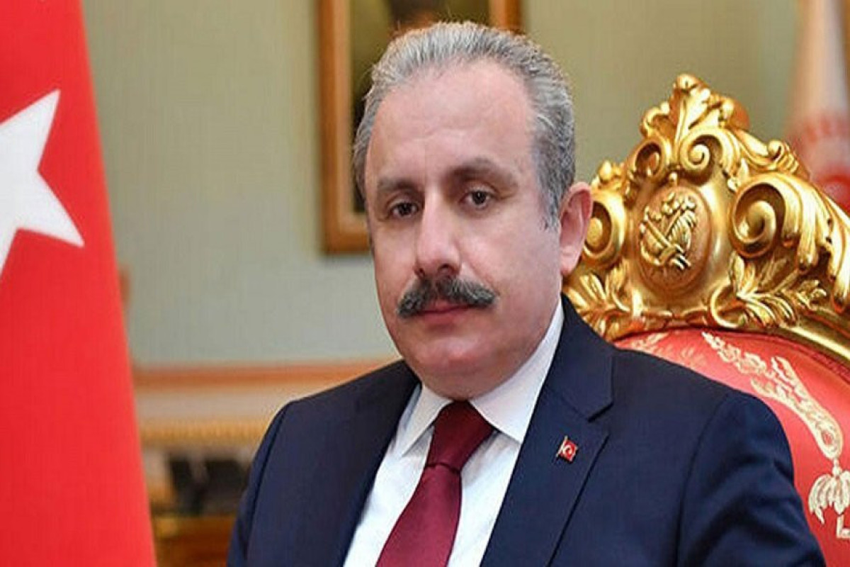 Председатель Великого Национального собрания Турции Мустафа Шентоп