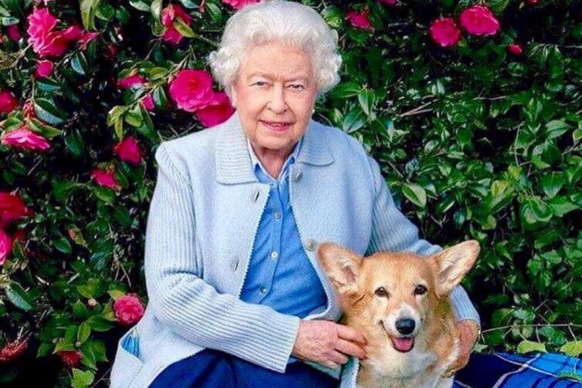 Елизавета 2 Королева Великобритании с корги