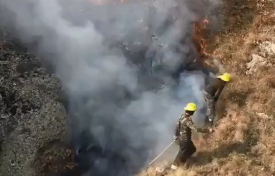 В лесном массиве Огуза произошел пожар - ВИДЕО 