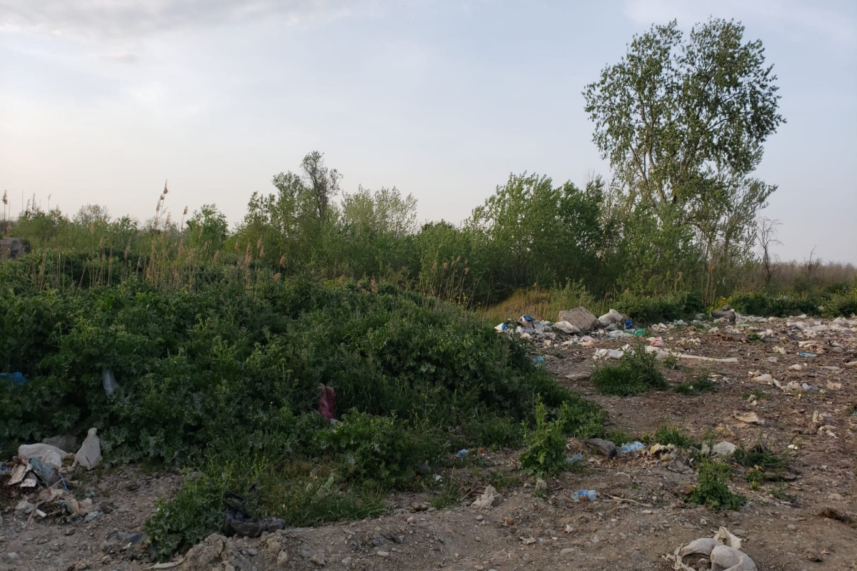 Мусорный полигон вместо леса: что ждет туристов летом в Хачмазском районе-ФОТО -ВИДЕО 