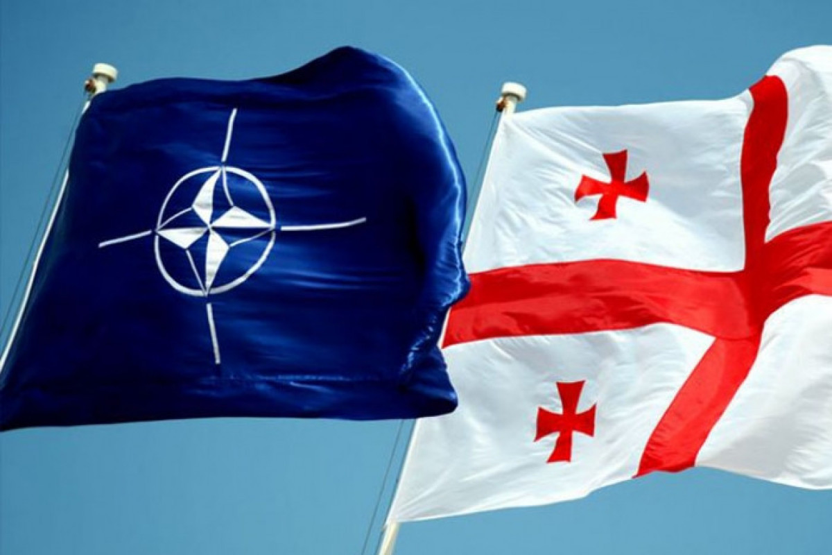 Грузия будет приглашена на Мадридский саммит НАТО