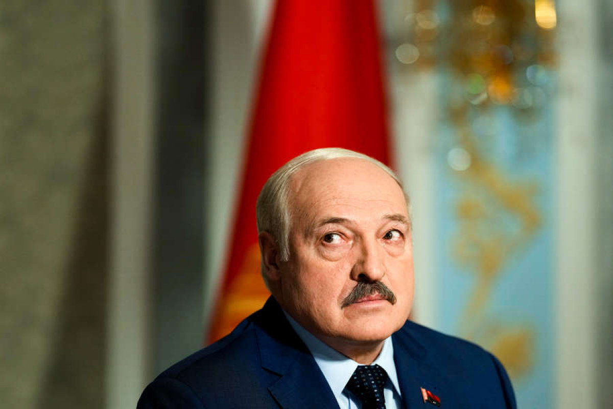 Белоруска получила год тюрьмы за оскорбительные комментарии под фотографиями Лукашенко