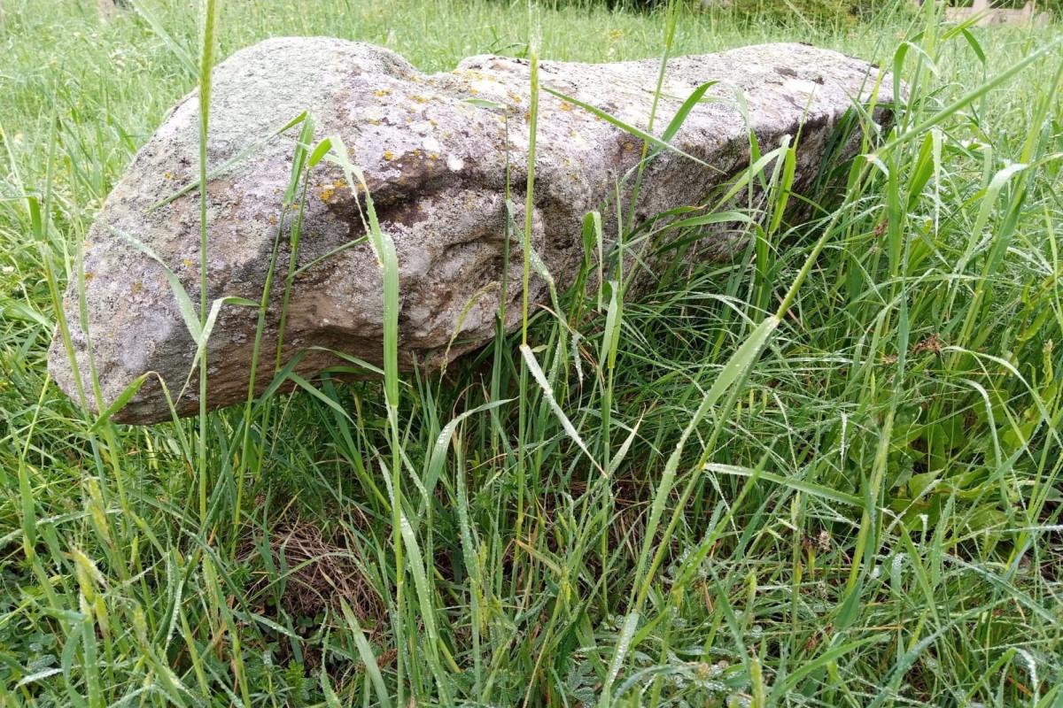 В Азербайджане обнаружены каменные фигуры быка-ФОТО 