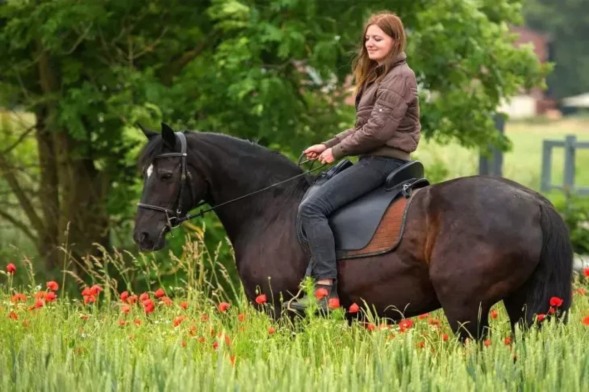 В Германии женщина пересела на лошадь из-за высоких цен на бензин