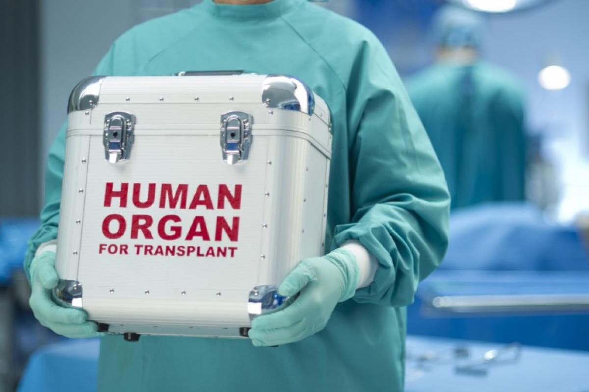 В Азербайджане на трансплантацию органов могут быть выделены средства из госбюджета