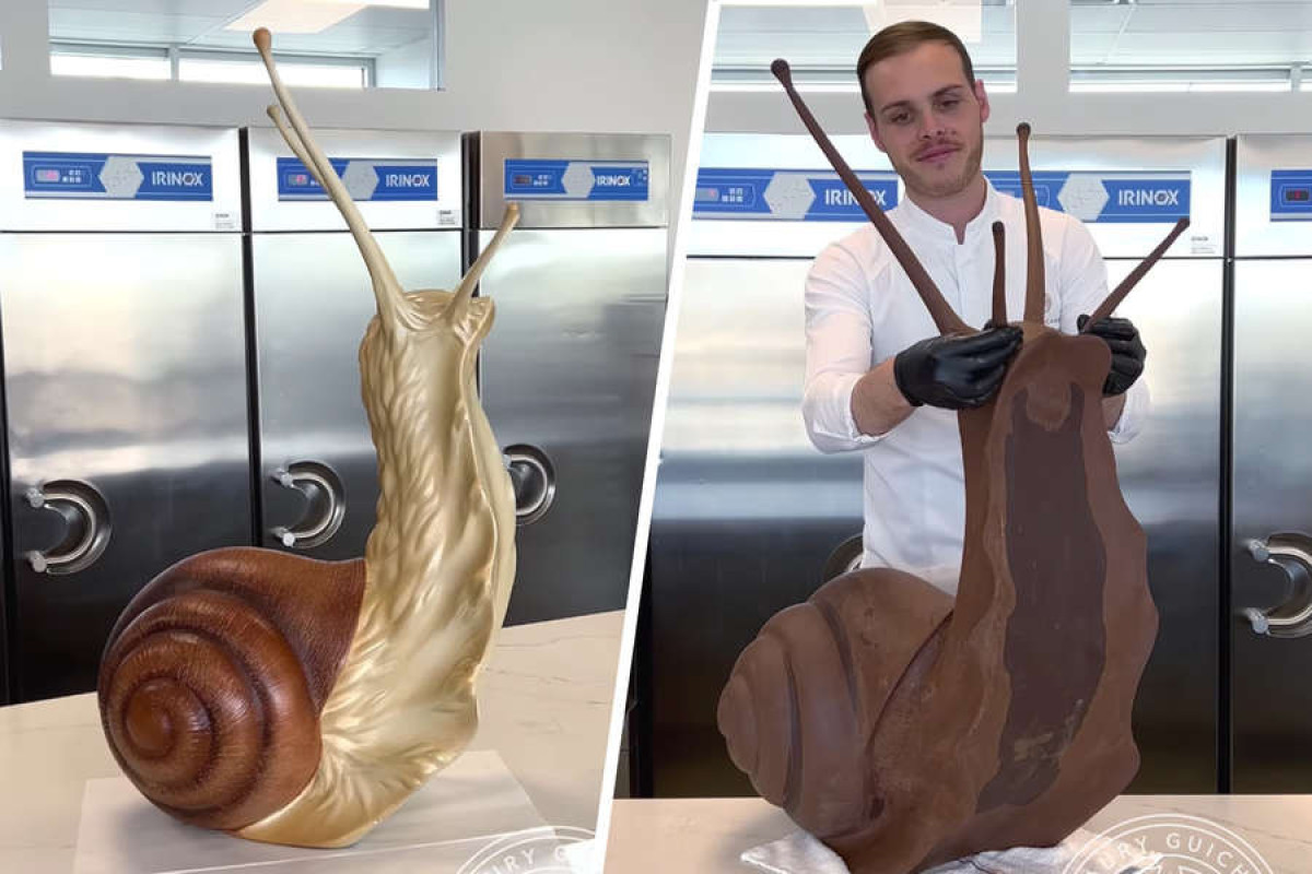 Французский кондитер создал гигантскую улитку из шоколада и восхитил соцсети