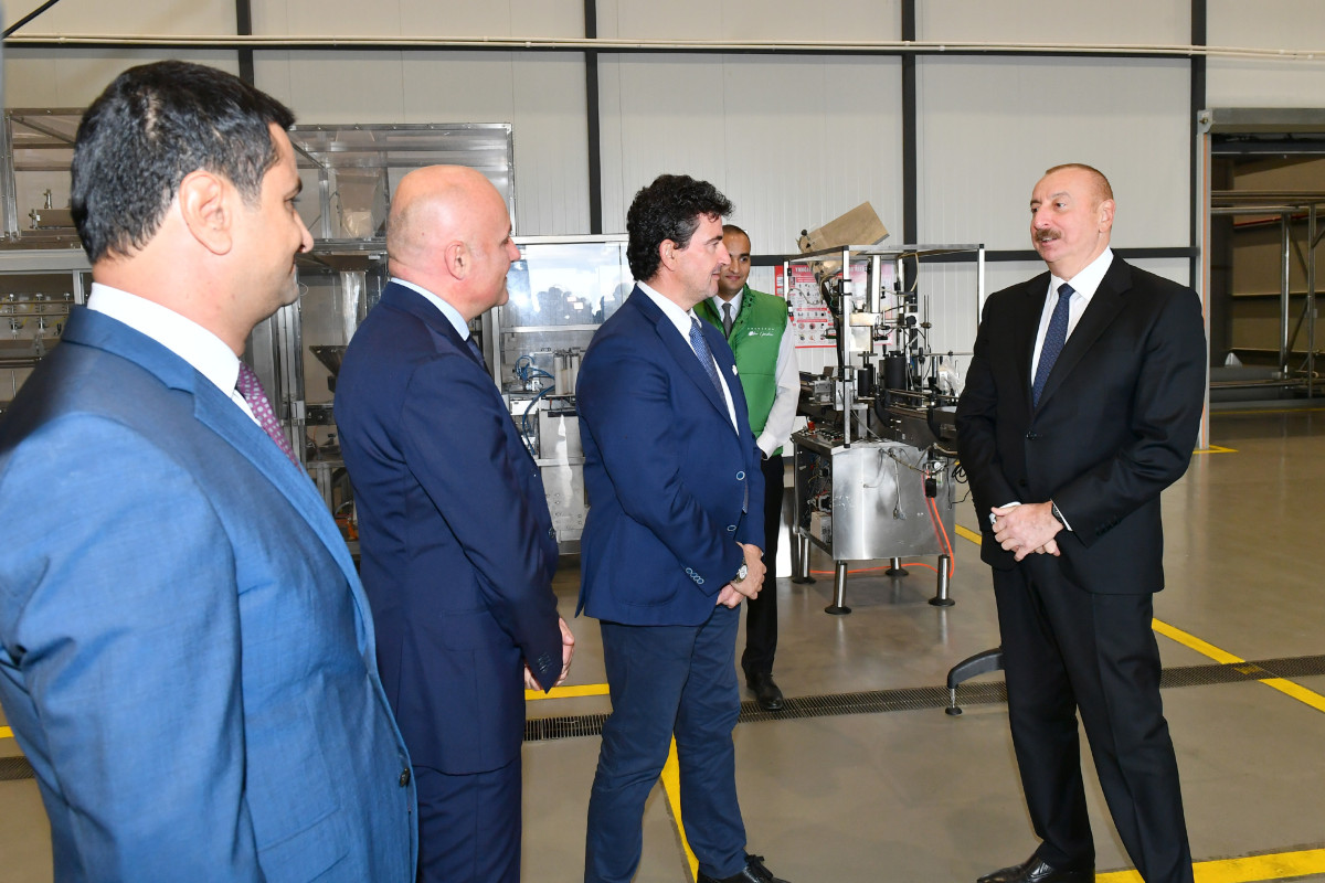 Ильхам Алиев принял участие в открытии самого большого в регионе завода по переработке оливок-ФОТО 