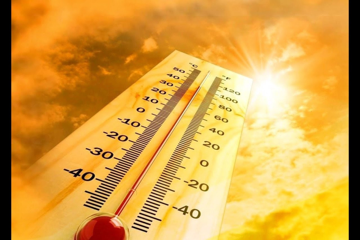 Аномальная жара унесла жизни 15 тысяч европейцев