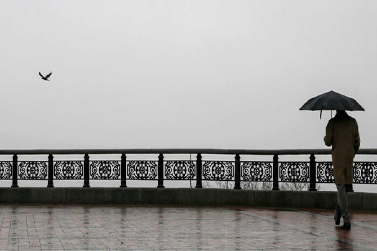В Баку местами туман и моросящий дождь - ПРОГНОЗ ПОГОДЫ 