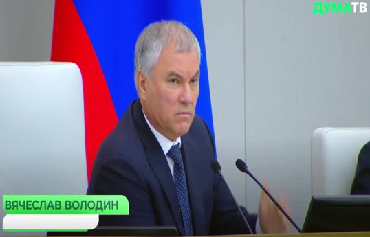 Спикер Госдумы: Люди искусства не должны критиковать государство -ВИДЕО 