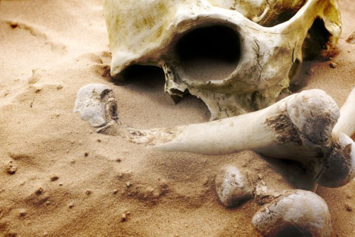 На пляже обнаружили шесть человеческих черепов