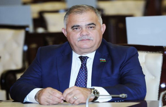 Депутат Милли Меджлиса Арзу Нагиев