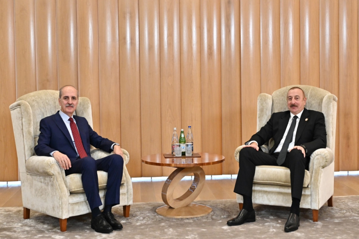 Ильхам Алиев принял первого заместителя председателя правящей партии Турции