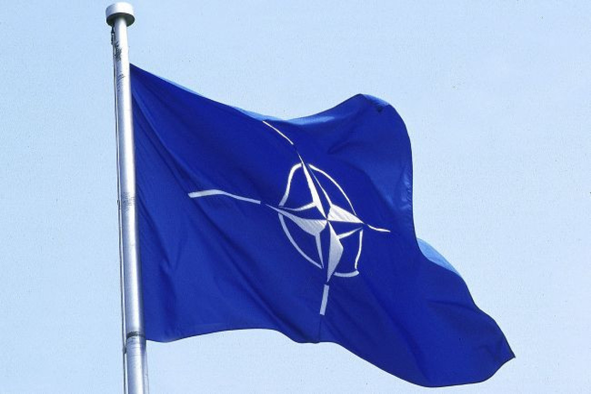 Парламентская ассамблея НАТО признала Россию государством-террористом