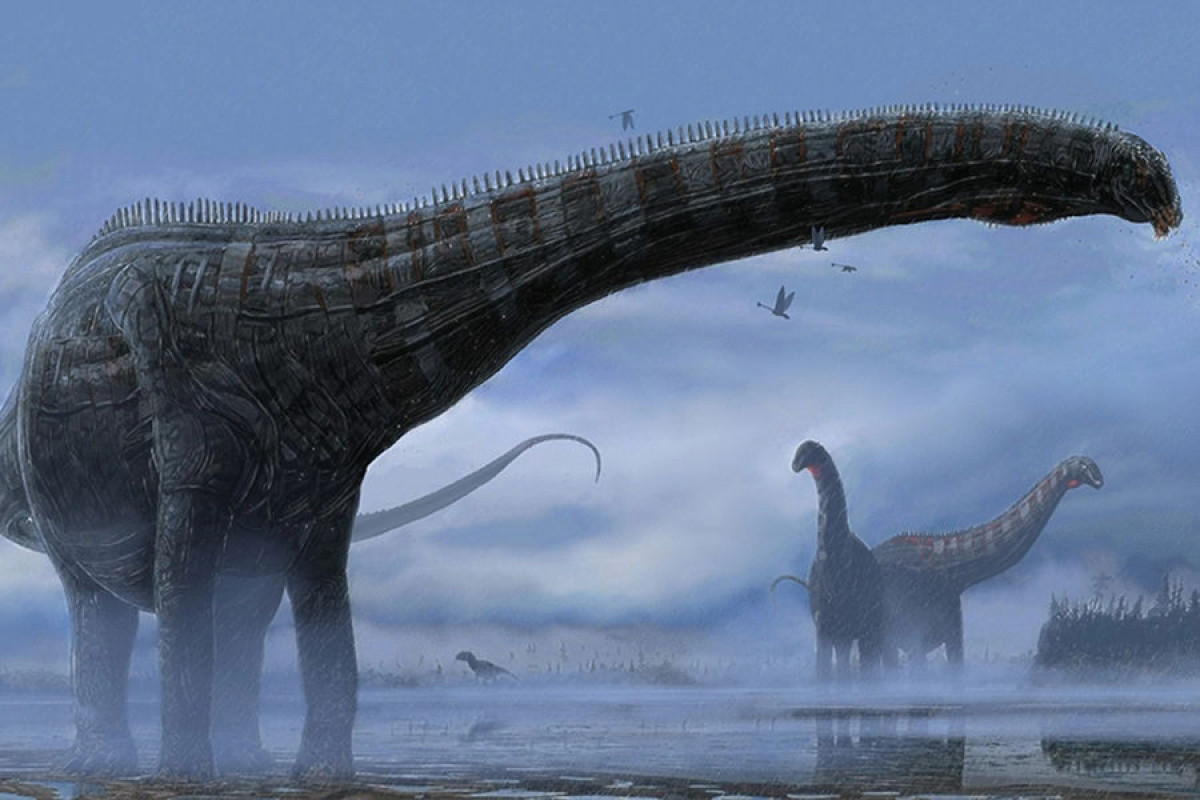 Палеонтологи нашли новый вид динозавров в Румынии, но не могут понять, как он туда попал