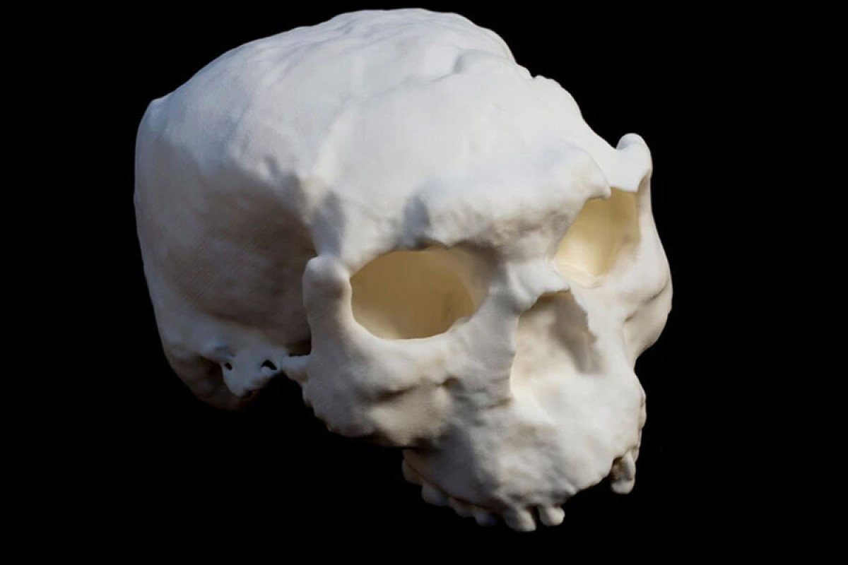 В Китае обнаружен самый древний в Евразии череп древнего человека