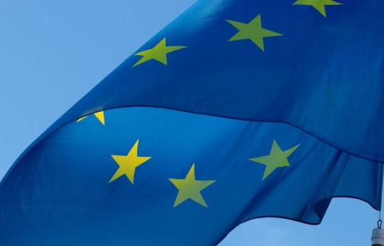 МИД ряда стран ЕС вызвали послов РФ