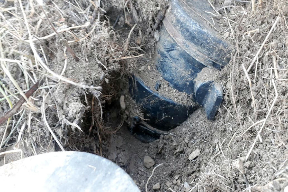 В Дашкесане обезврежены сотни мин, заложенных армянскими диверсантами-ФОТО 