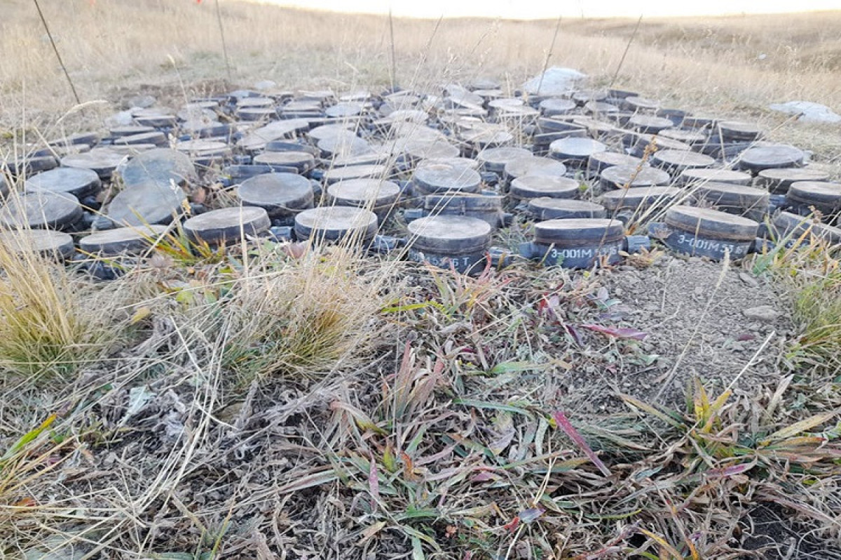 Обнаружена и обезврежена еще одна партия мин, заложенная армянами в Дашкесанском и Кяльбаджарском районах -ФОТО 