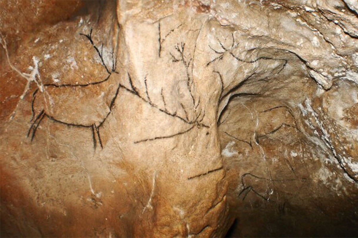 Археологи датировали наскальный рисунок оленя возрастом 19 тыс. лет