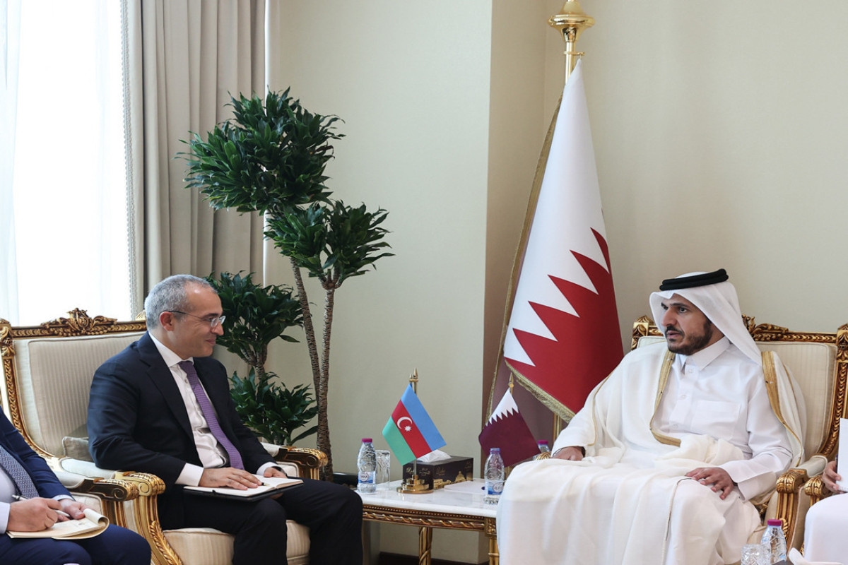 Большой потенциал катарско-азербайджанских экономических связей: Микаил Джаббаров провел в Дохе ряд важных встреч -ФОТО 