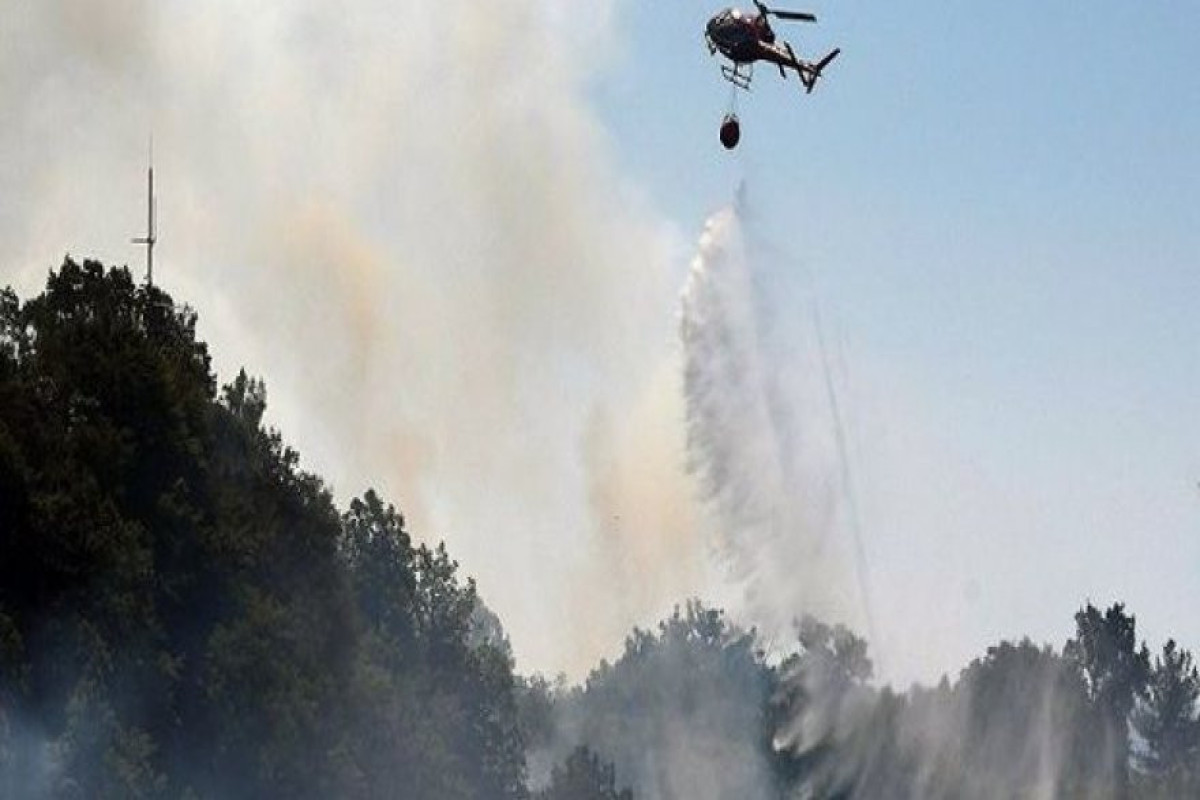В Габале снова горит лес, к тушению пожара привлечен вертолет
