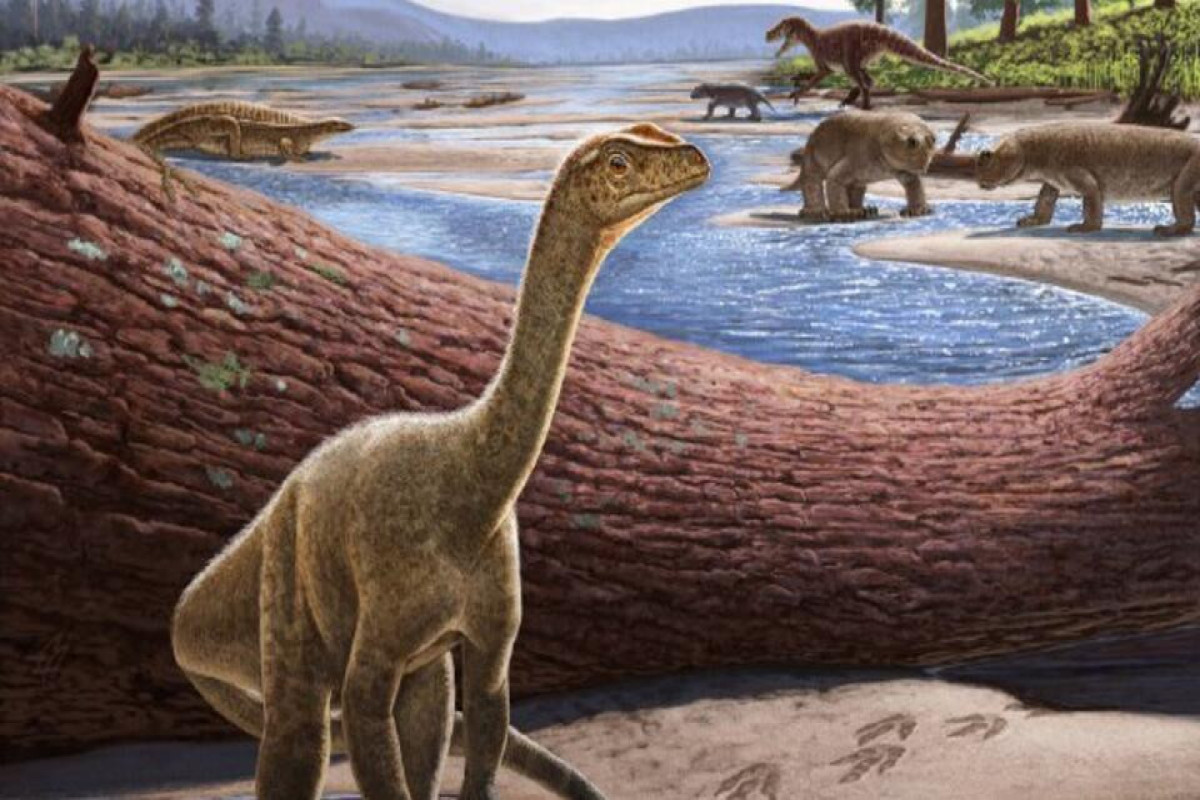 В Зимбабве нашли древнейшего динозавра Африки возрастом в 230 млн лет