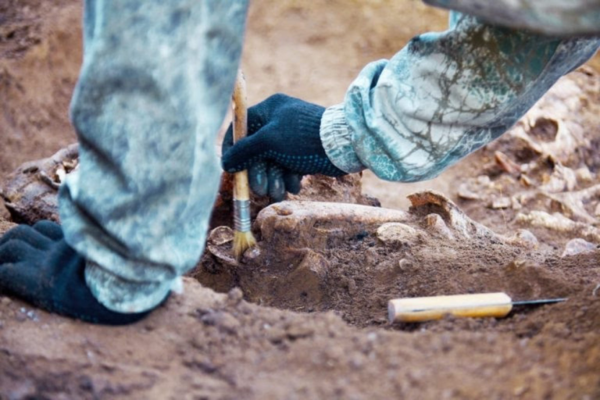 Польские археологи обнаружили могилу девушки — «вампира»