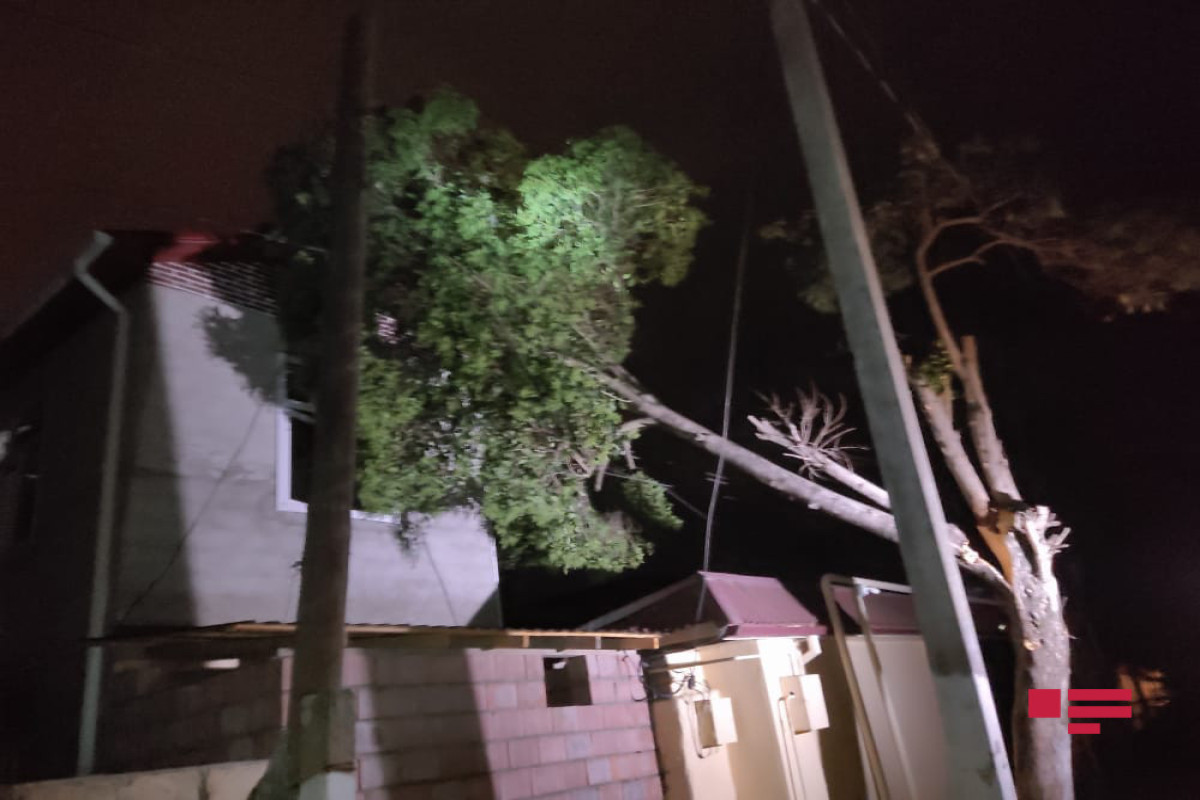 Штормовой ветер вызвал сбои в электроснабжении Лянкярана-ФОТО 
