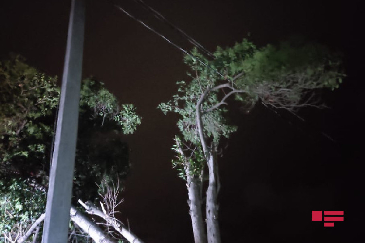 Штормовой ветер вызвал сбои в электроснабжении Лянкярана-ФОТО 