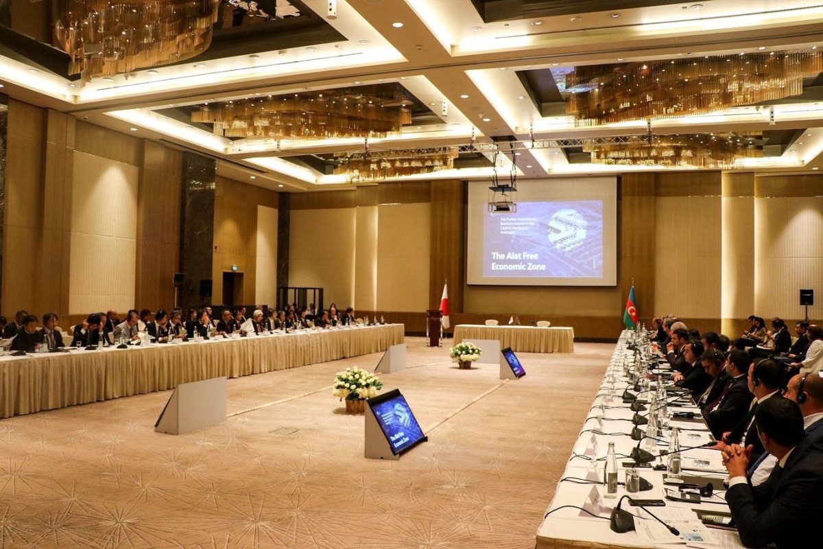 Азербайджан пригласил японских бизнесменов инвестировать в Зангилан-ФОТО 