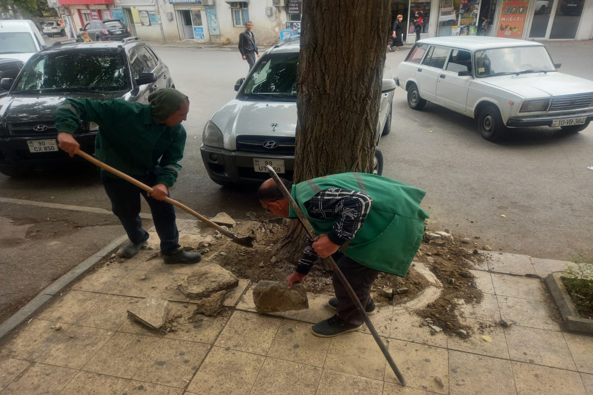 В Ясамальском районе Баку снесены заборы на незаконно огороженных территориях-ФОТО 