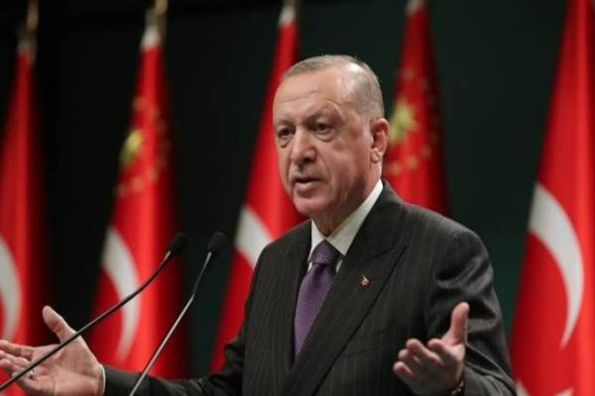Эрдоган согласился с Путиным: "Зерно поставляют в развитые страны, а не в бедные"