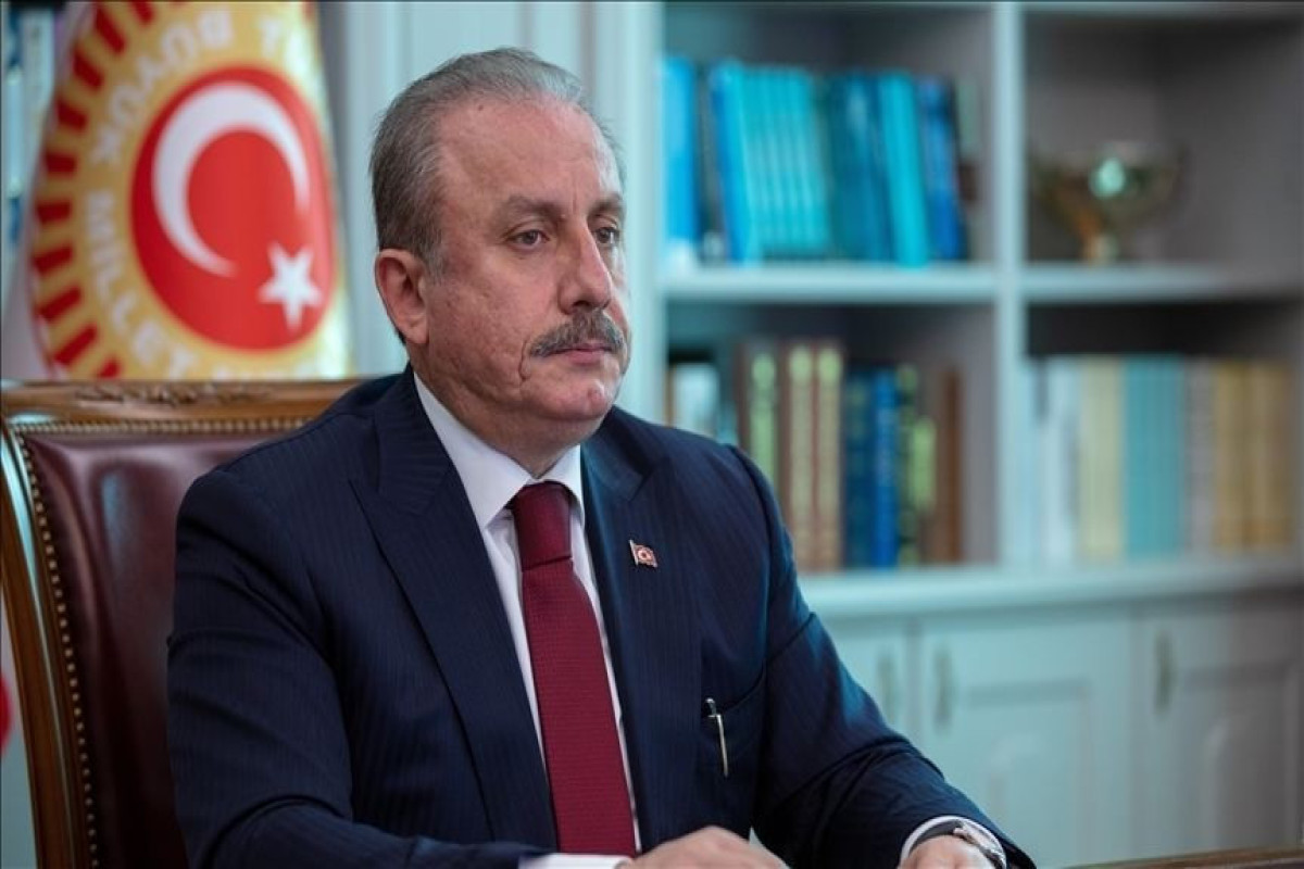 Спикер турецкого парламента заразился коронавирусом