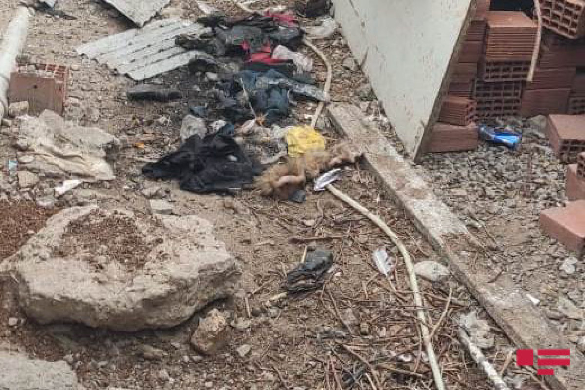 В Сумгайыте ревнивец поджег дом соседей и в результате обгорел сам-ФОТО 