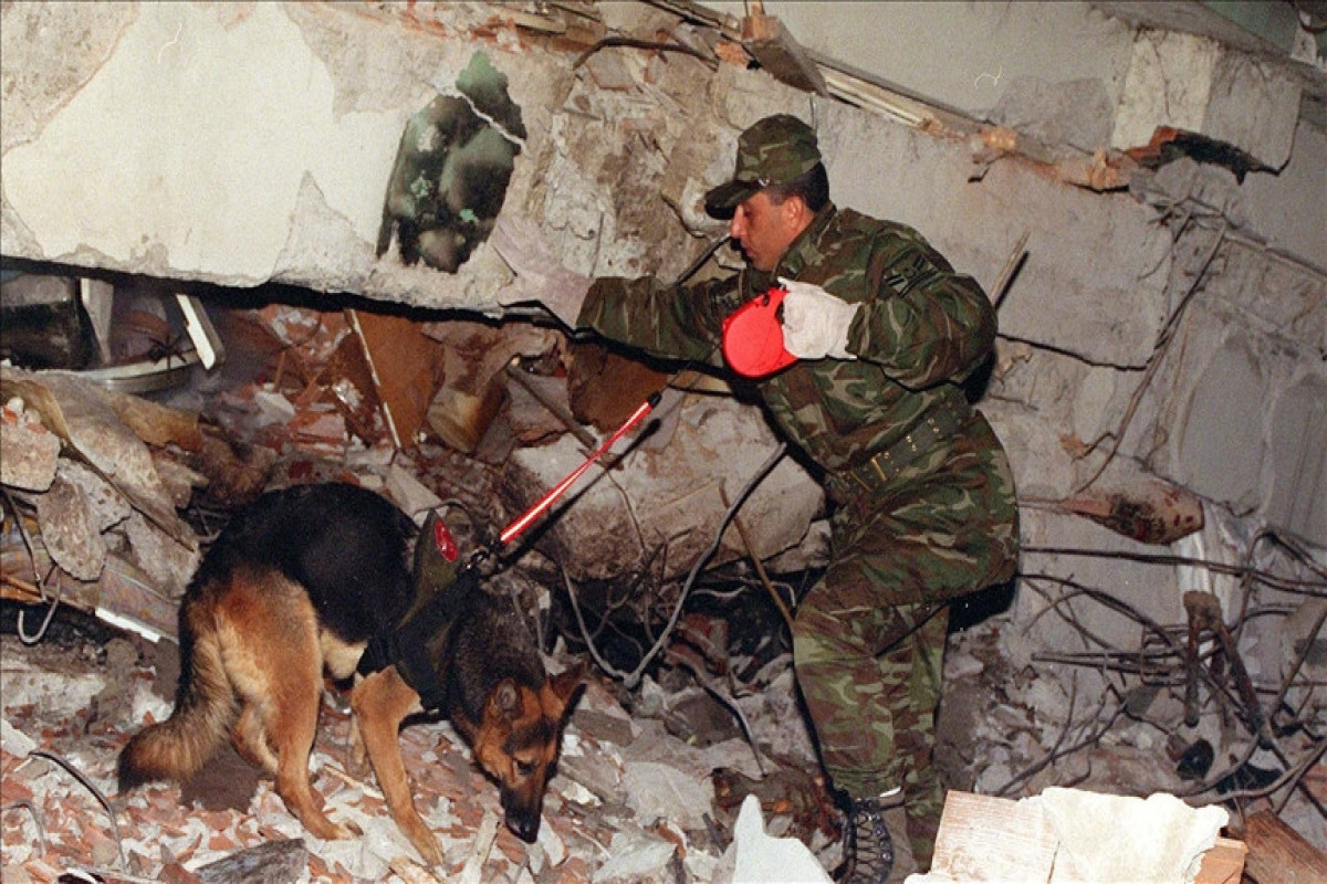 Собаке-спасателю по кличке «Mancs» в Турции поставят памятник